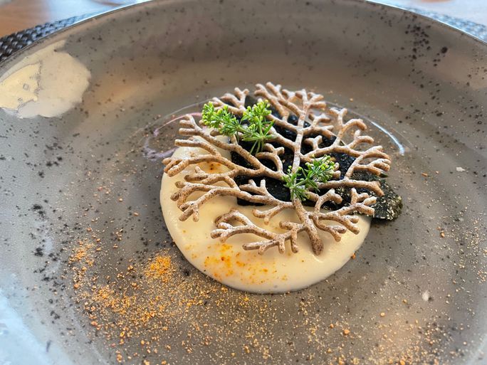 The Chef's Table was a memorable experience on National Geographic Endurance The Chef's Table was a memorable experience on National Geographic Endurance