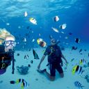 Paul Gauguin Cruises diving