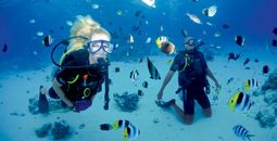 Paul Gauguin Cruises diving
