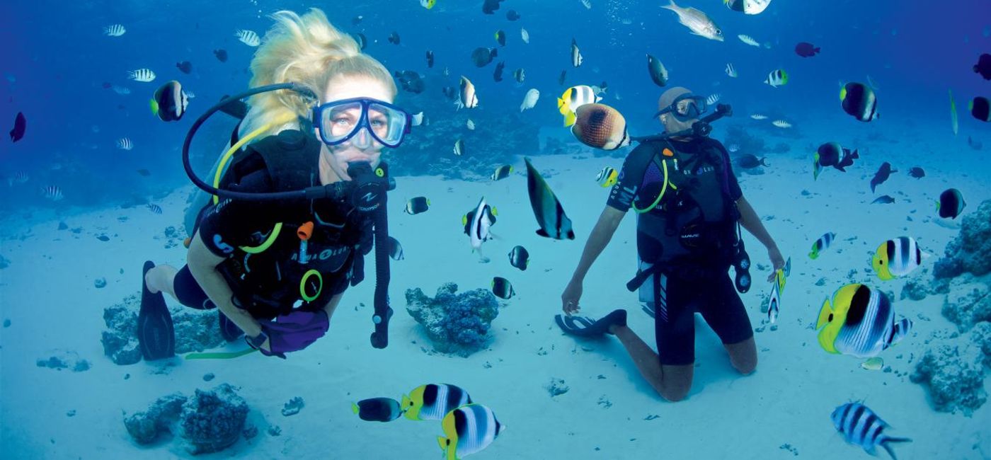 Dive and Snorkel in Paradise