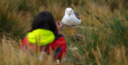 HX and Audubon are offering new bird-focused voyages