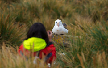 HX and Audubon are offering new bird-focused voyages
