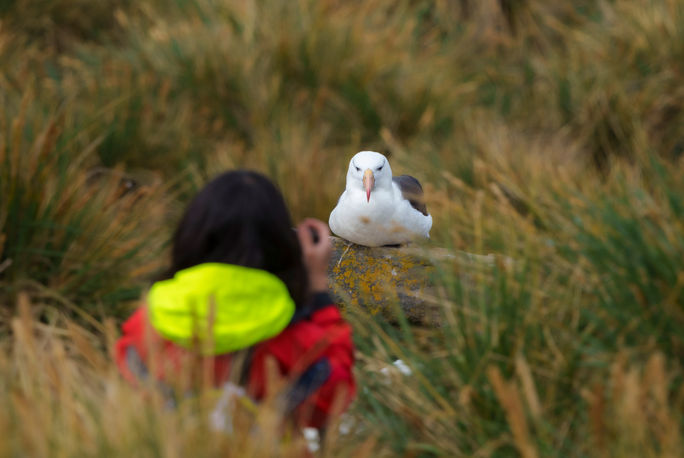 HX and Audubon are offering new bird-focused voyages