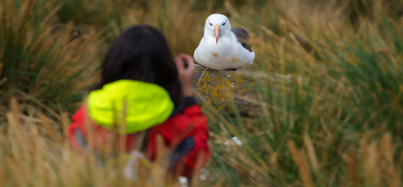Image: HX and Audubon are offering new bird-focused voyages (Photo Credit: HX)