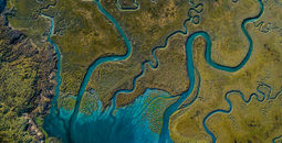 Los Humedales wetlands in San Quintin, Baja California.