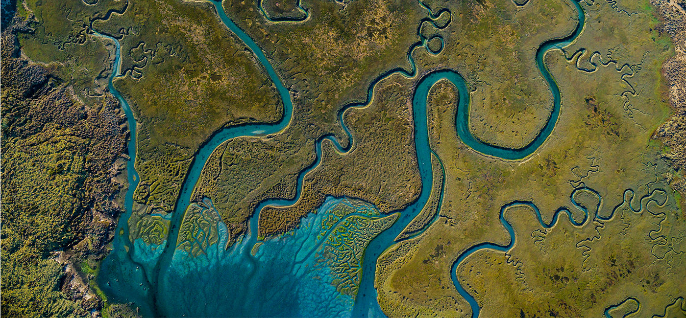 Image: Los Humedales wetlands in San Quintin, Baja California. (Photo Credit: Baja California Tourism Board)