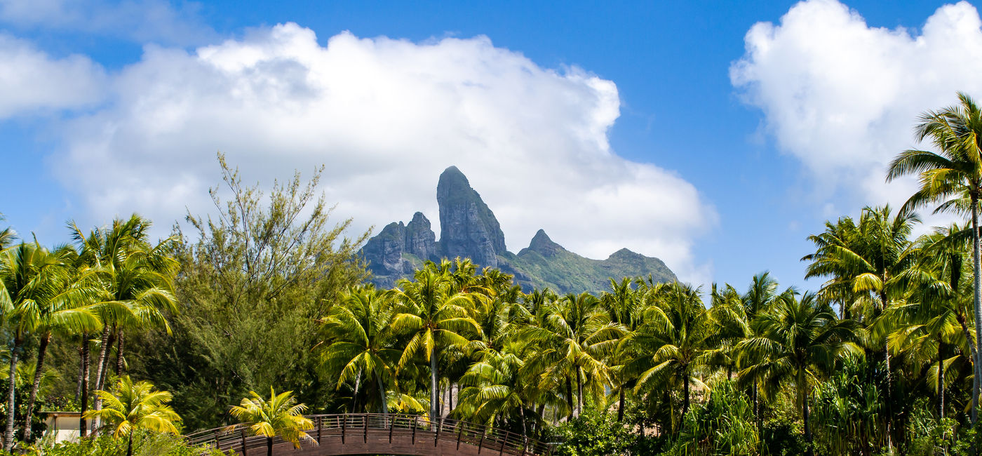 Image: PHOTO: Lagoonarium at St. Regis Bora Bora (Photo by Scott Laird)