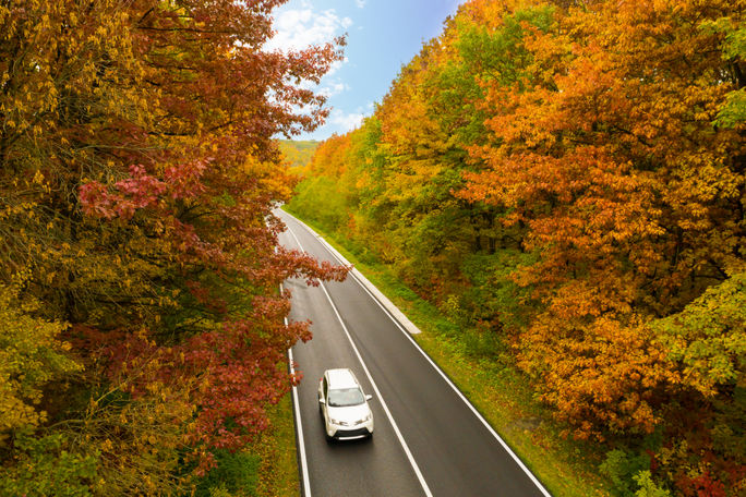 Car driving through colorful fall forest Car driving through colorful fall forest