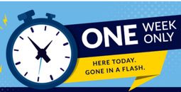 ALG Flash Sale