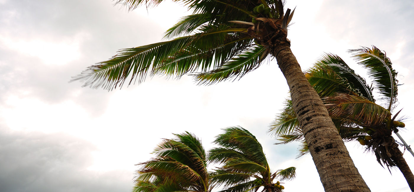 Image: « Les Bermudes ont une grande expérience dans la préparation et la gestion des tempêtes » (Photo Credit: behindlens / Adobe Stock)