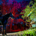 Headless Horseman Haunted Attractions, New York