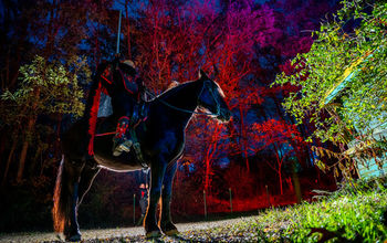 Headless Horseman Haunted Attractions, New York