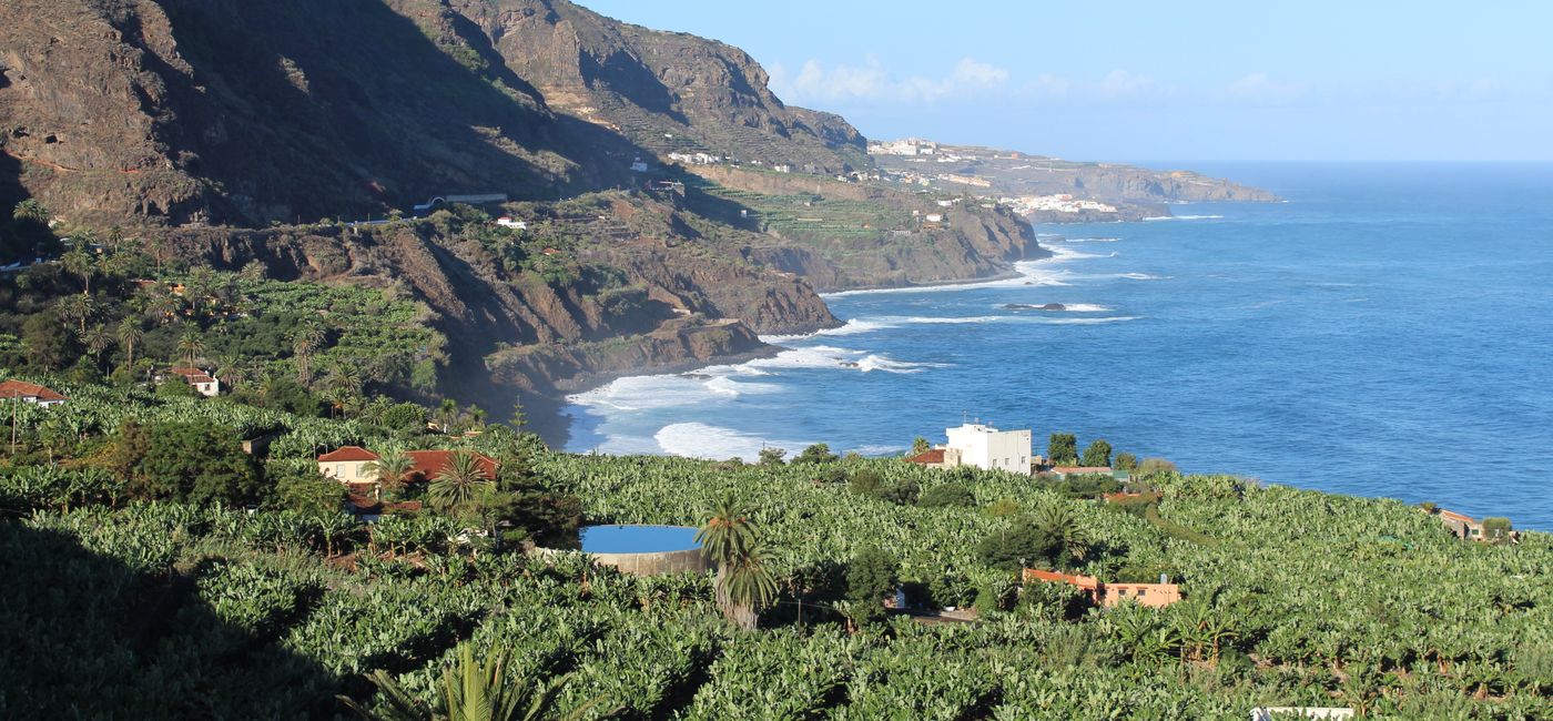 Image: Los Realejos, Tenerife, Spain. (Photo: Dan Callahan)