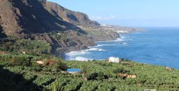 Los Realejos, Tenerife, Spain.