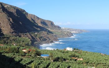 Los Realejos, Tenerife, Spain.