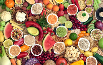 Large vegan health food collection.