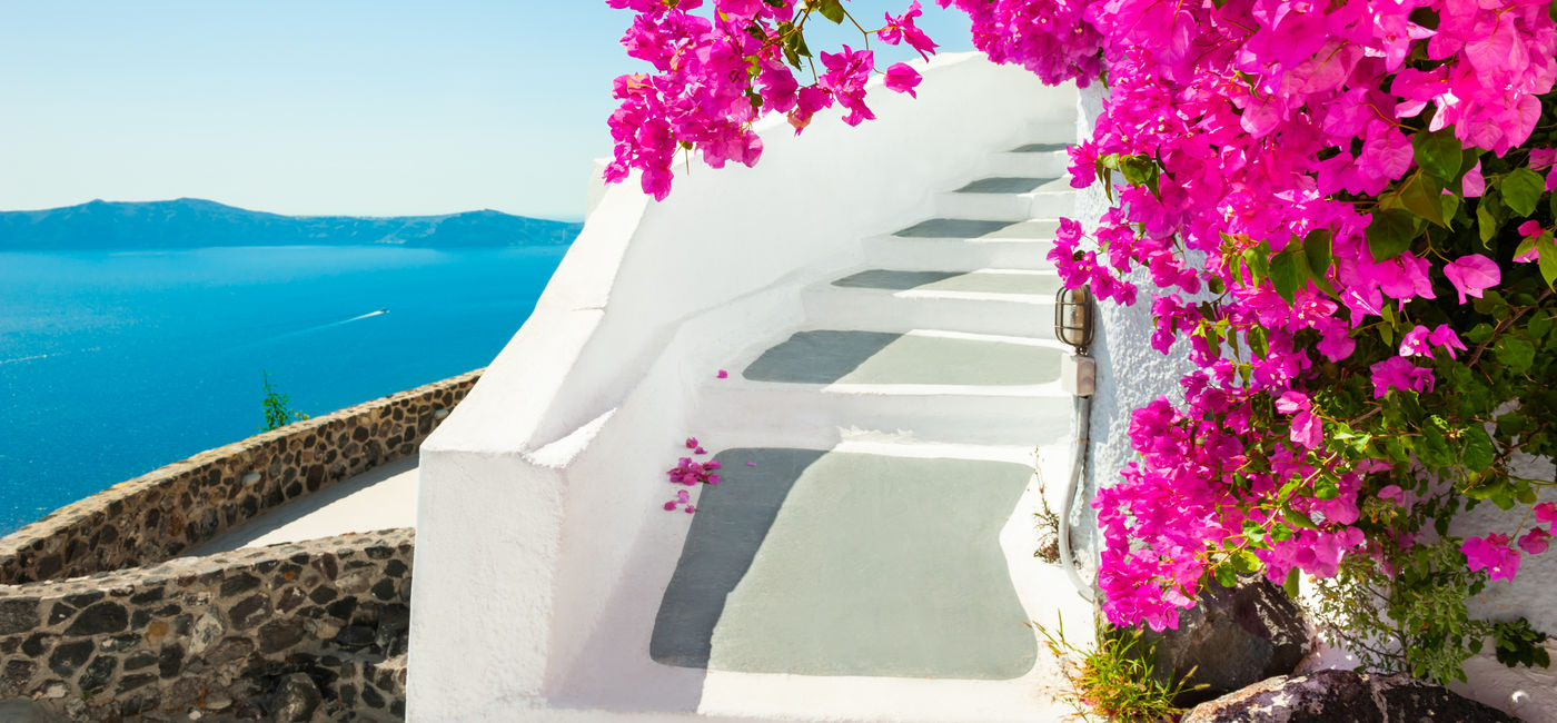 Image: Flowers in Santorini, Greece (Photo Credit: Celestyal Cruises)