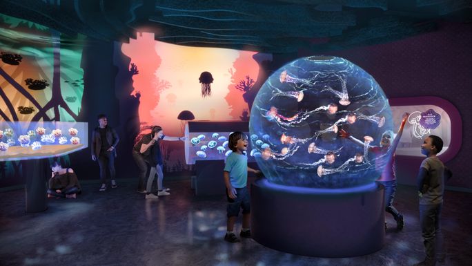 Rendering of the Jewels of the Sea: A Jellyfish Experience exhibit at SeaWorld San Diego.