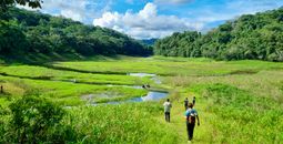 Quebrada Ancha, Panama