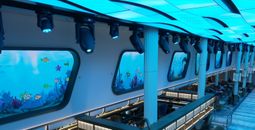 Carnival Cruise Line, Carnival Jubilee