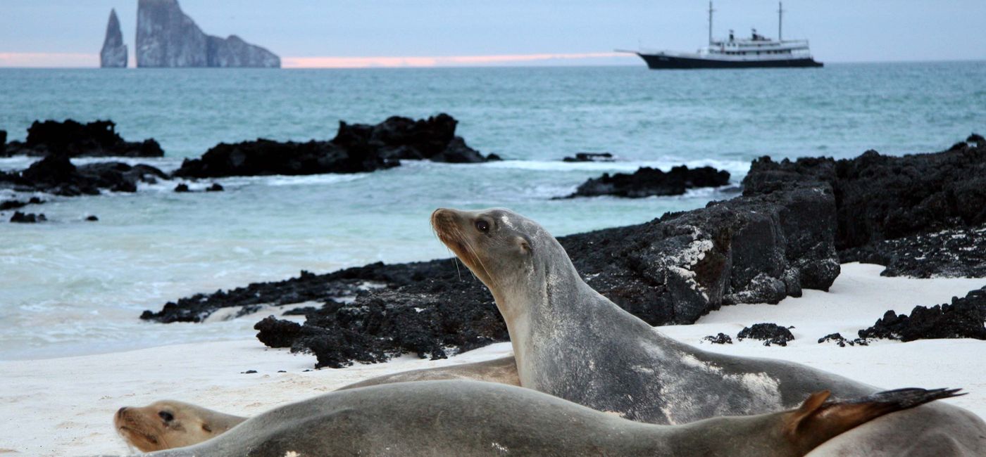 Image: New ships and experiences are coming to the Galápagos Islands (Photo Credit: AdventureSmith Explorations)