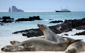 New ships and experiences are coming to the Galápagos Islands