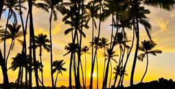 Kapa'a, Kauai Sunset