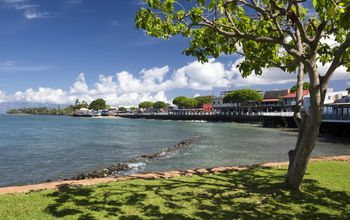 Lahaina, Maui, Hawaii