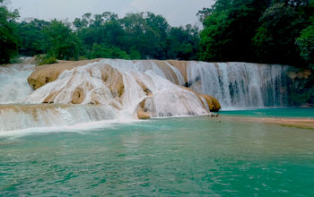 Cascadas de Agua Azul (Agua Azul Falls), a natural wonder of Chiapas. The green and blue colors are due to dissolved carbonate salts in the water.