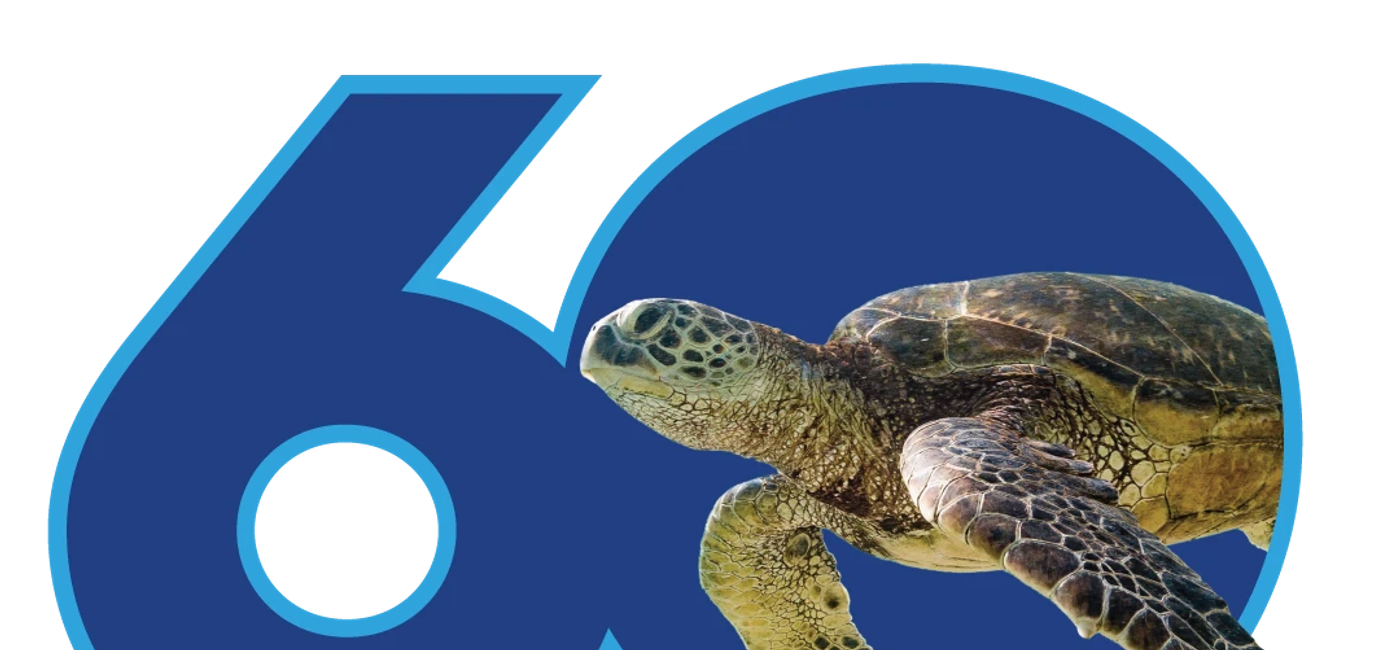 Image: SeaWorld Celebrates 60th Anniversary