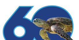 SeaWorld Celebrates 60th Anniversary with 'There's So Much More to Sea'