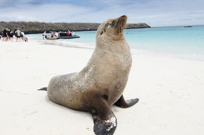 Celebrity Cruises sails in the Galapagos Islands