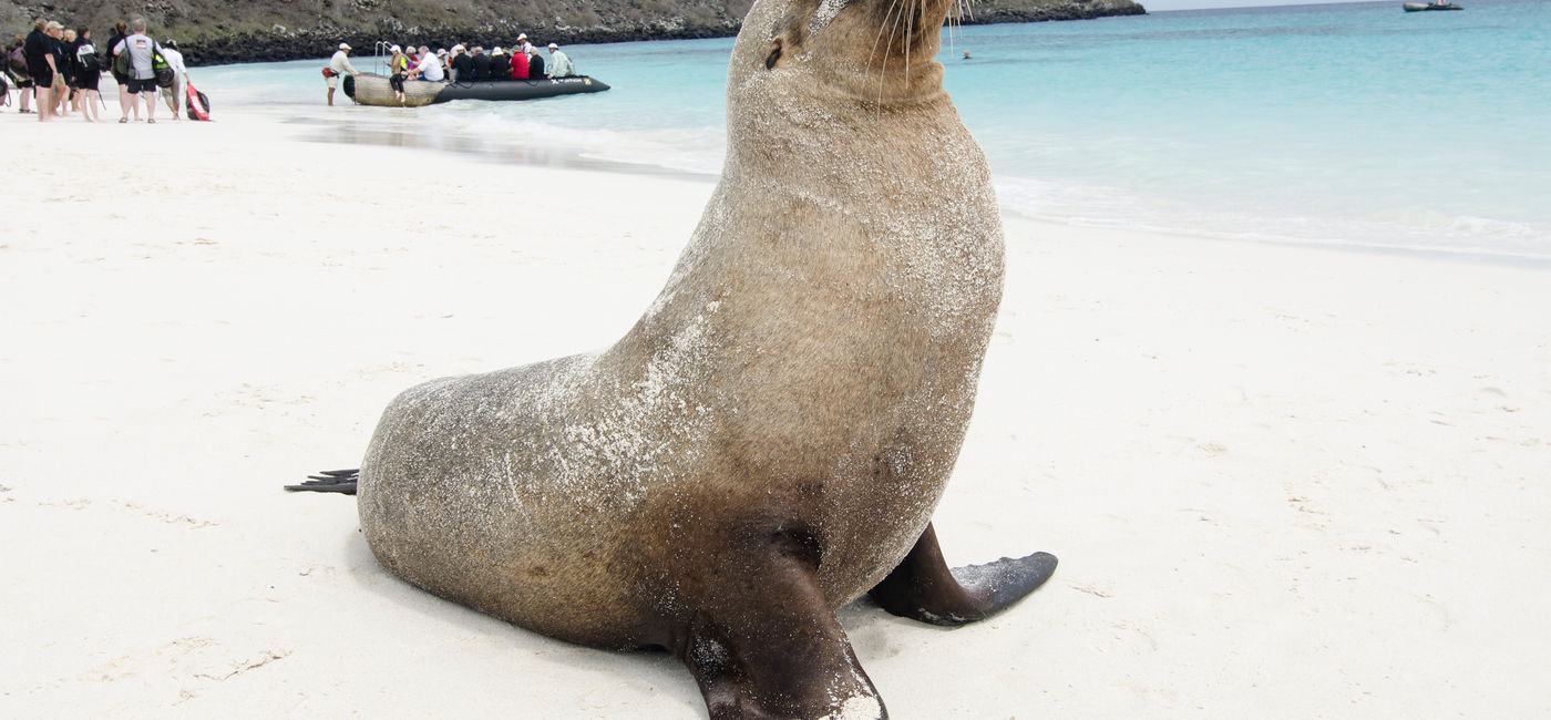 Image: Celebrity Cruises sails in the Galapagos Islands (Photo Credit: Celebrity Cruises)