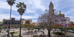 plaza in Guadalajara, flowers, church