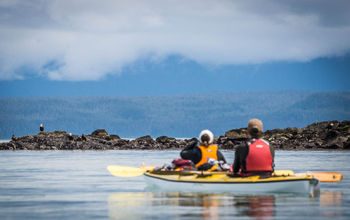 Aurora Expeditions