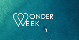 Wonder Week is Here 30% Discount + 20% Commission
