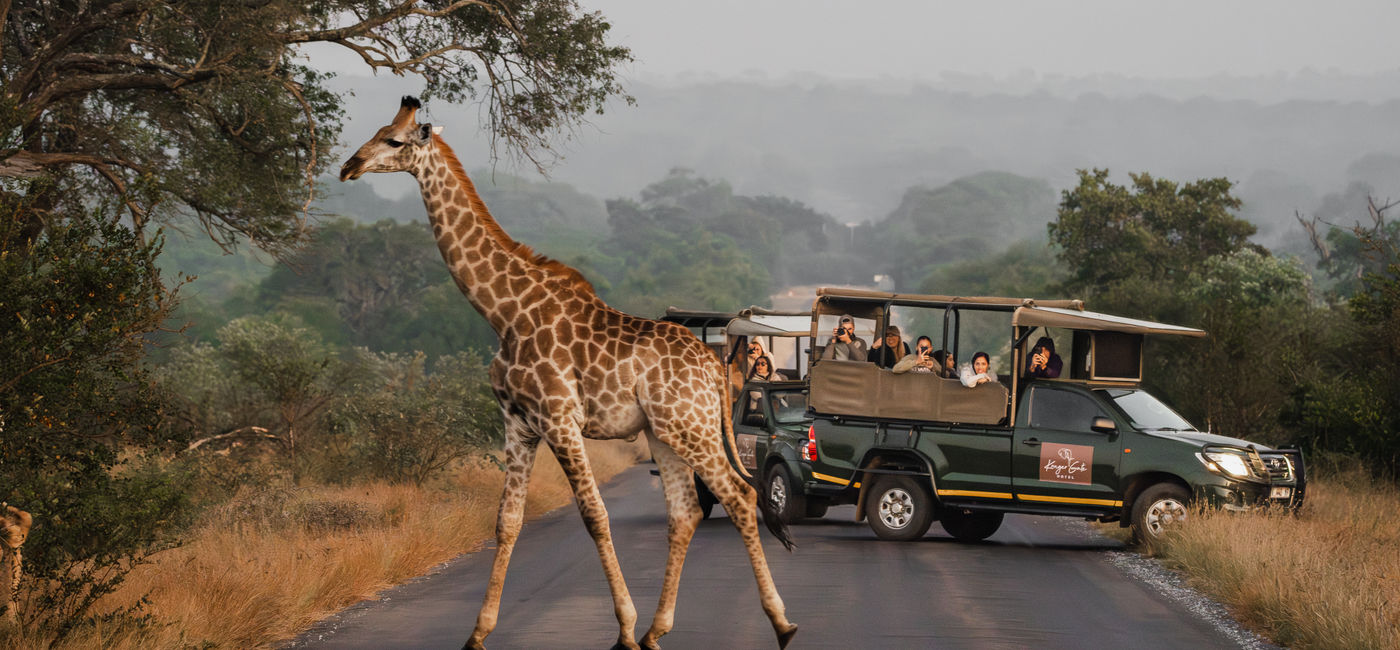 Image: Kruger Gate Hotel (Photo Credit: Collette)