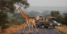 Kruger Gate Hotel