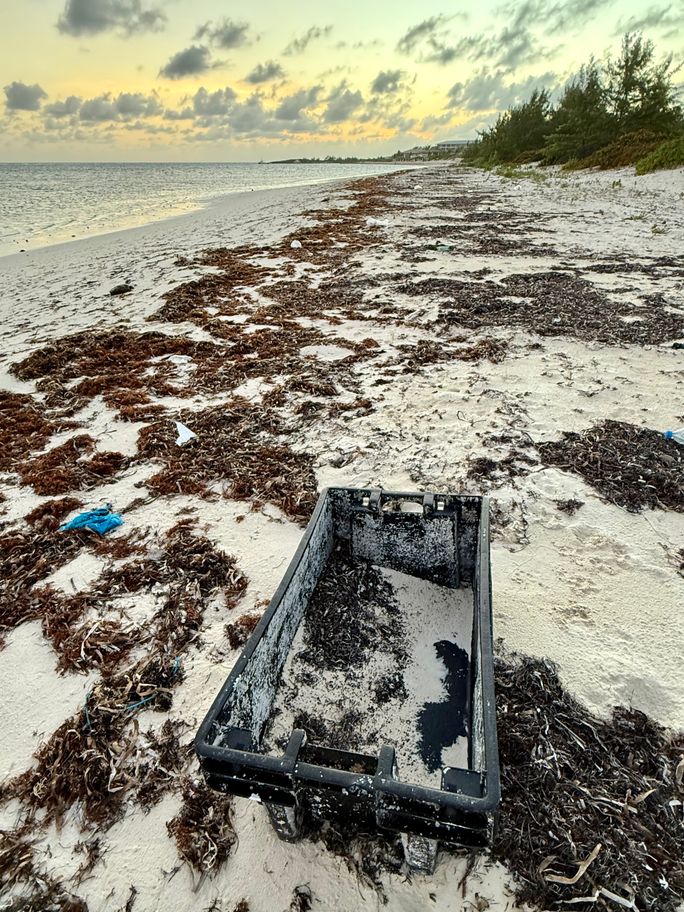 Plastic pollution on a beach in Turks and Caicos Plastic pollution on a beach in Turks and Caicos