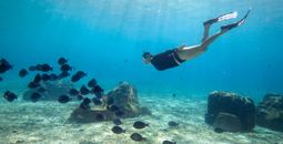 New direct flights to Cozumel