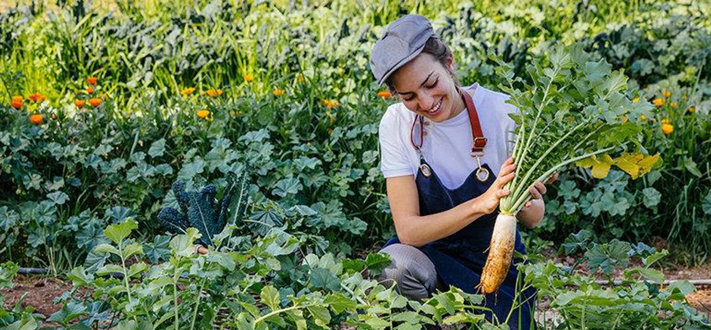 Image: Organic farms found at many Six Senses properties (Photo Credit: IHG Hotels & Resorts)