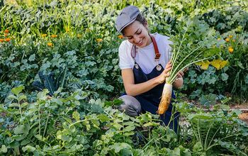 Organic farms found at many Six Senses properties