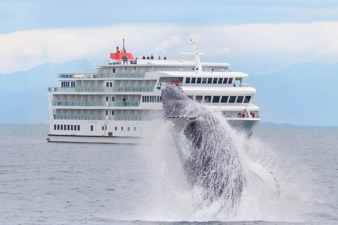 Breaching whale in Alaska