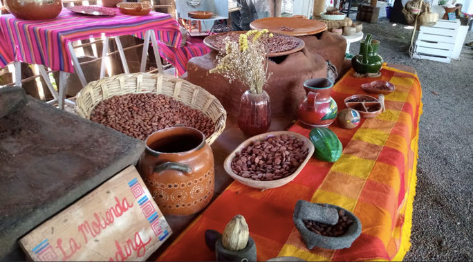 Nayarit promotes outdoor activities to raise awareness of the importance of its sustainable agriculture, such as producing organic cacao Nayarit promotes outdoor activities to raise awareness of the importance of its sustainable agriculture, such as producing organic cacao