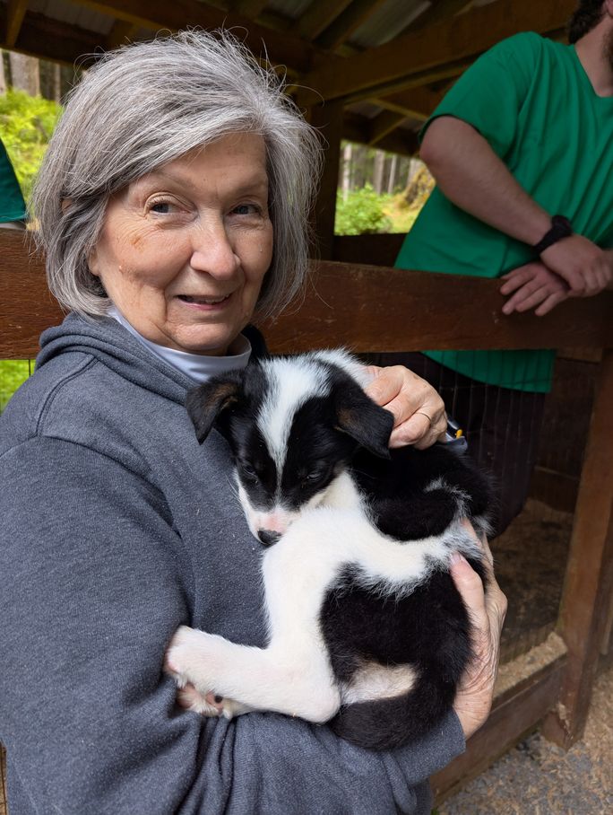 Musher puppies with the author Musher puppies with the author