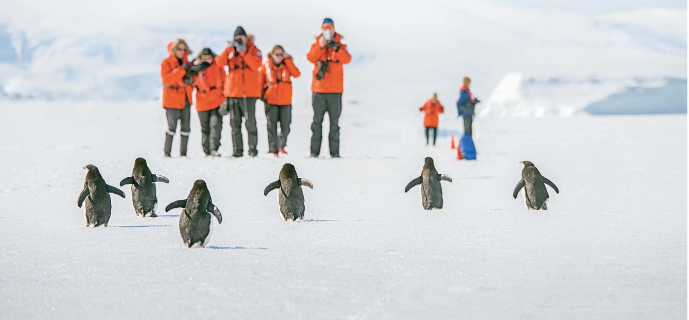 Lindblad - National Geographic offer