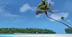 Enjoy Bonus Savings of up to 30% with Paul Gauguin Cruises