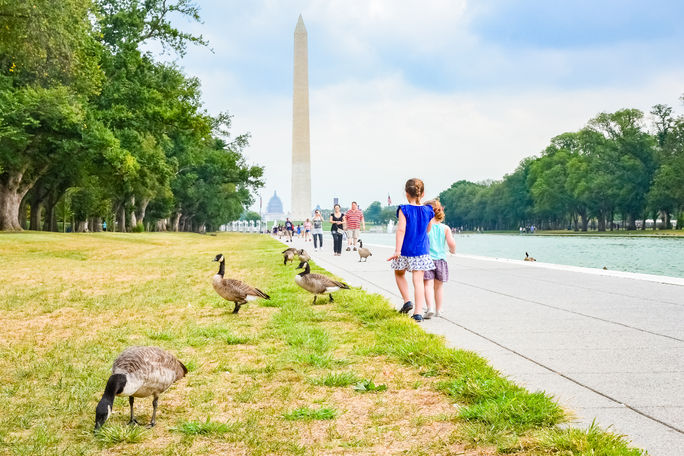 Summer in Washington, DC Summer in Washington, DC