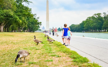 Summer in Washington, DC