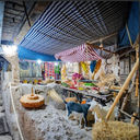 City of David